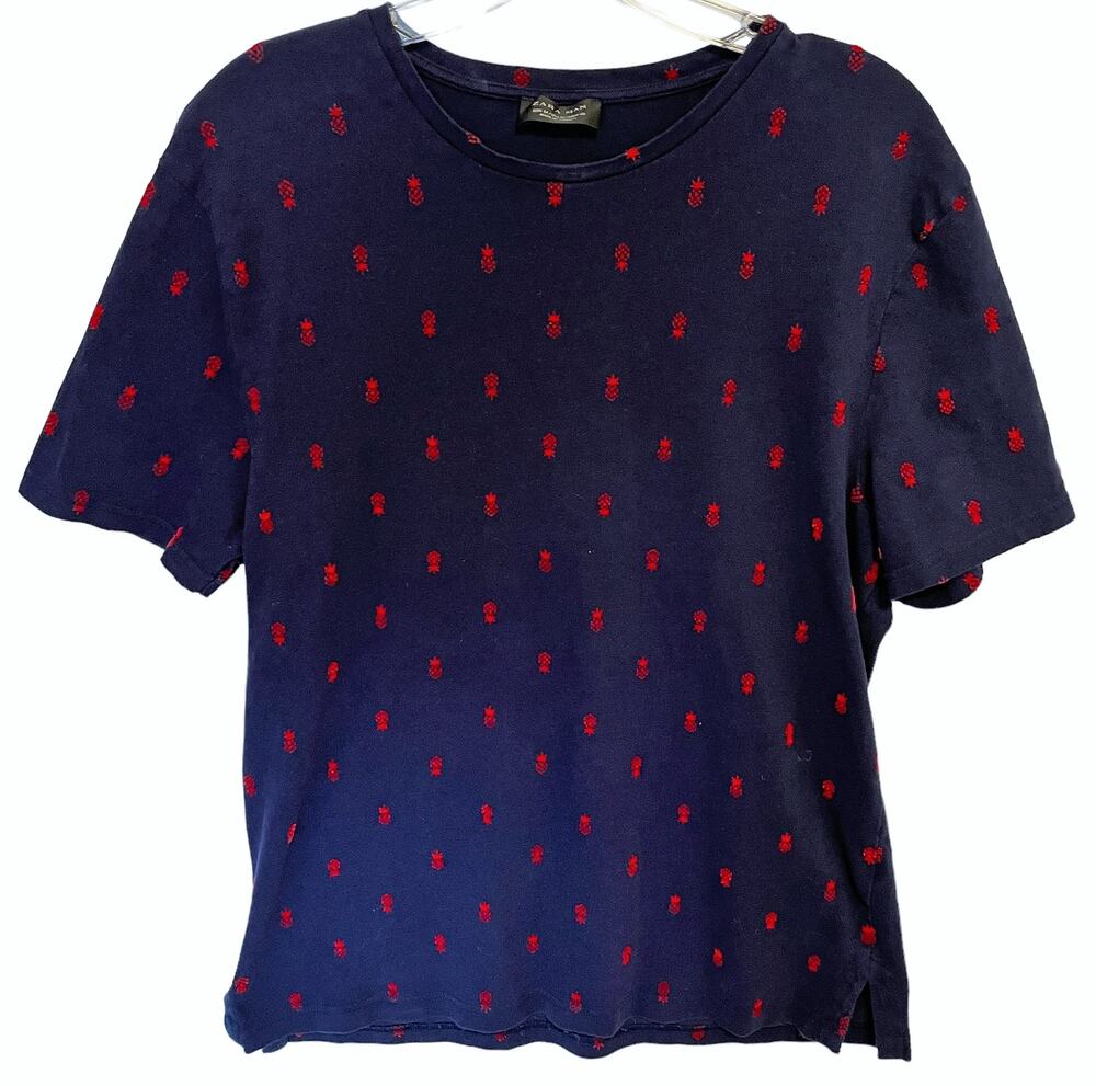 Zara Man Pineapple Shirt Men's Size Medium Blue & Red Short Sleeve Tee T-Shirt
